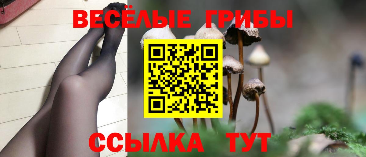 Реутов  Псилоцибиновые грибы MAGIC MUSHROOMS  Вход с VPN 